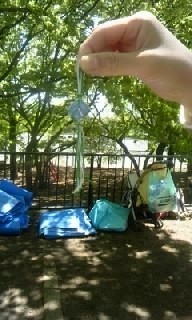 170423_1157~010001.jpg