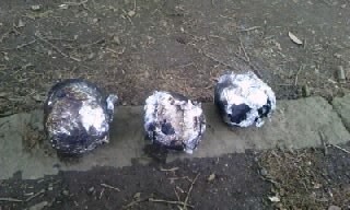 170514_1255~010001.jpg