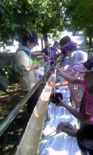 180826_1228~010001.jpg