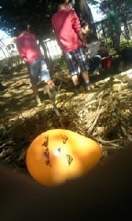181021_1206~010001.jpg