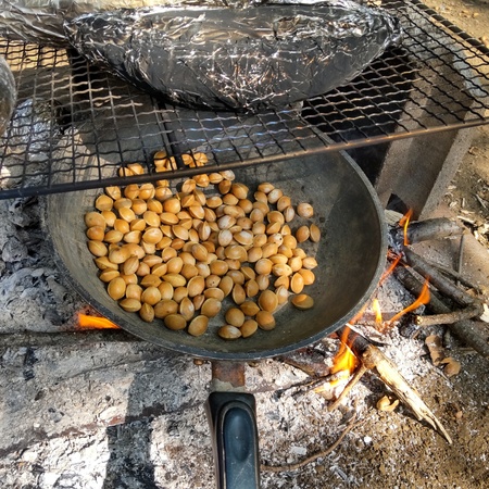 DSC_0370.JPG